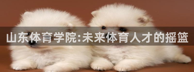 米兰体育综合官网：山东体育学院:未来体育人才的摇篮